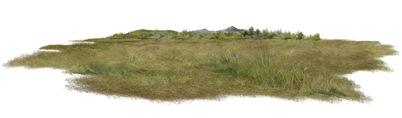High-resolution panoramic grassland landscape with natural wild vegetation and open meadow terrain isolated on a bright background © Saharattaphum