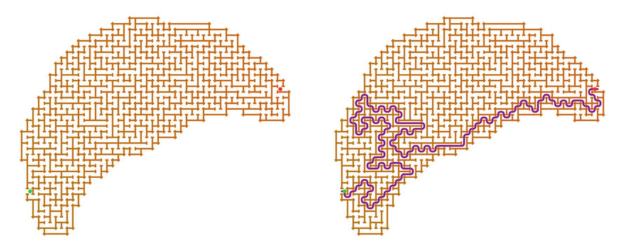 Maze pattern with solved path and unsolved maze on white background  