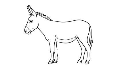 Fototapeta premium Hand Drawn Donkey Outline Vector Illustration Minimal Farm Animal Line Art
