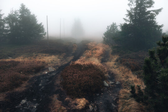 Desolate hiking trail disappearing into thick white mountain fog