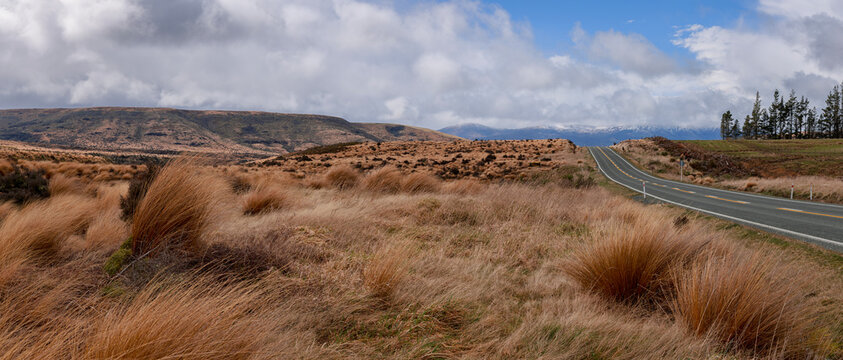 Red Tussock Conservaton Area between Te Anau and Mossburn, New Zealand