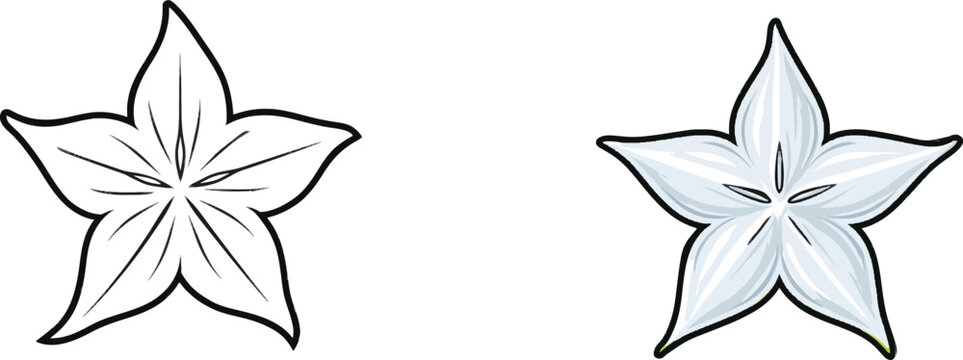 A clean black line art depiction of a starfruit carambola with a geometric slice design, showcasing crisp sharp lines against a stark white background