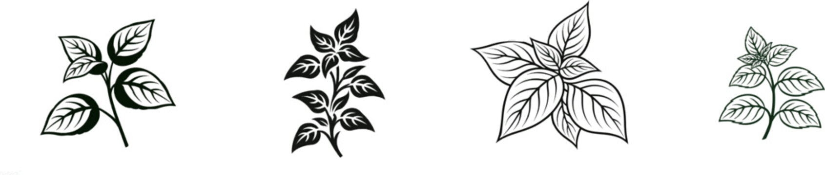 A minimalist black ink botanical illustration of a sprig with crisp edges and high contrast on a pure white background, ideal for clean vector tracing