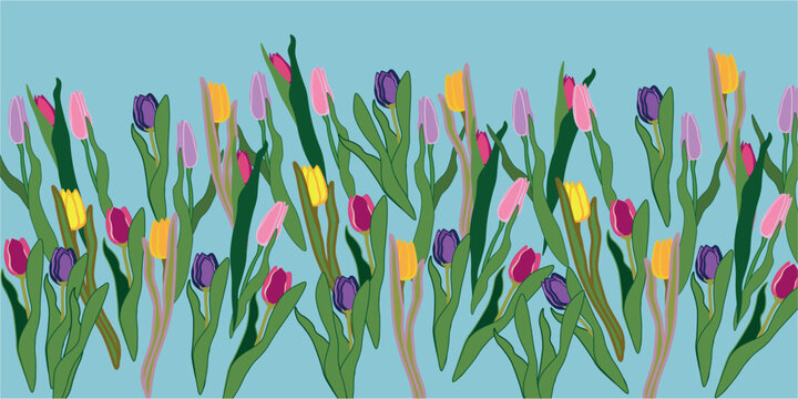 Colorful tulips on blue backraund