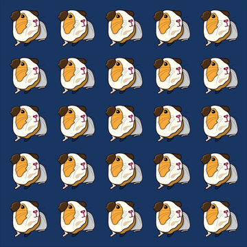 Funny cavy pets on dark blue background pattern
