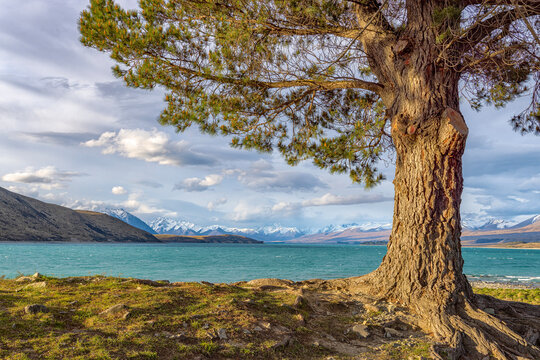 Lake Tekapo, New Zealand