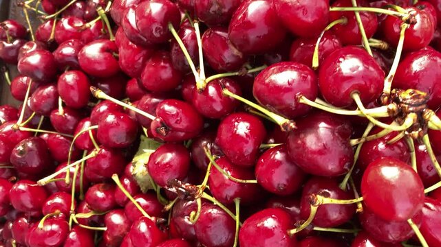 red cherries on the market, Cherry Background. Sweet organic cherries, red fresh cherry in drops of water, Berry fruit wallpaper, fresh cherries food concept banner