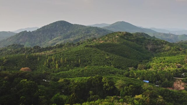 Phuket island tropical rainforest blankets rugged mountains and hills in vibrant green, an expansive untouched jungle under a clear sunny sky, serene and lush landscape. Aerial view drone flight