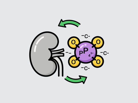 Phosphate Group Molecule Structure Diagram.