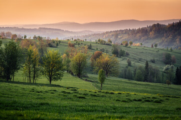 Obraz premium Mountain Valley Landscape at Sunset in Zakopane, Poland