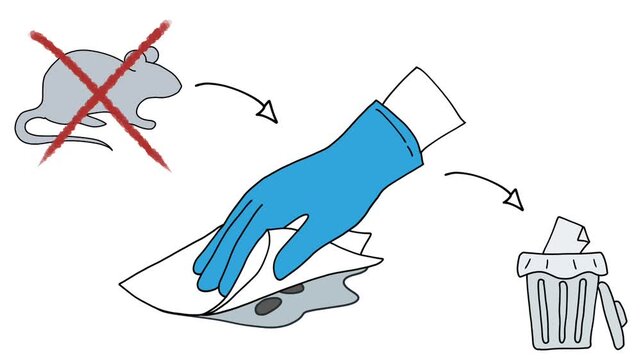 Hanta Virus Prevention and Cleaning Safety for Rodent Pest Control