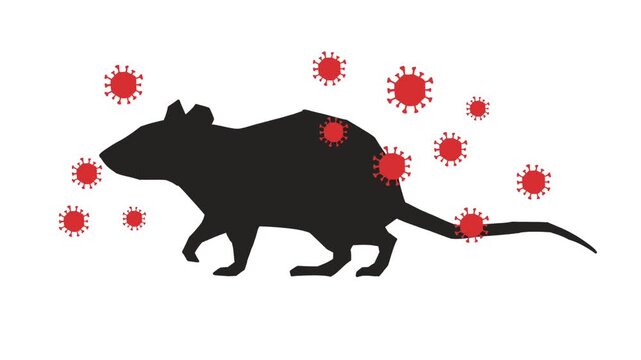 Hanta Virus Initial Transmission and Rodent Carrier Concept