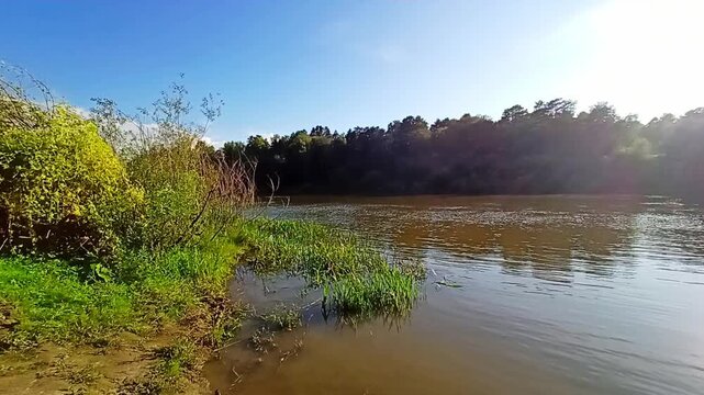 A gentle bank of a beautiful river with bushes and reeds along the water's edge on a sunny summer evening. The Inya River, Siberia, Russia.