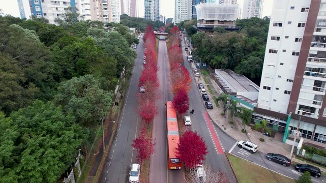 drone da Rua do Outono em Curitiba