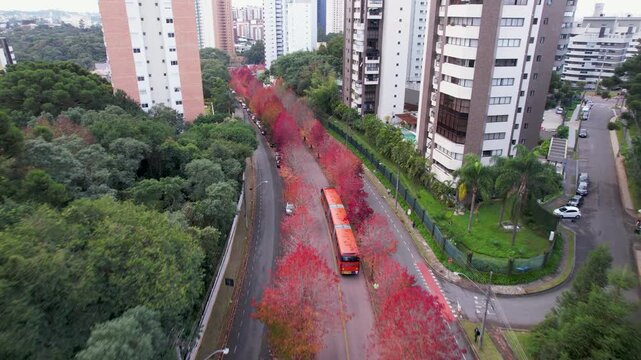 drone da Rua do Outono em Curitiba