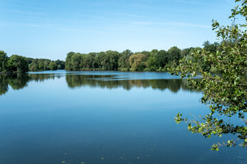 Fototapeta premium Clear water reflects trees by the lake under the blue sky on a sunny day in a natural landscape