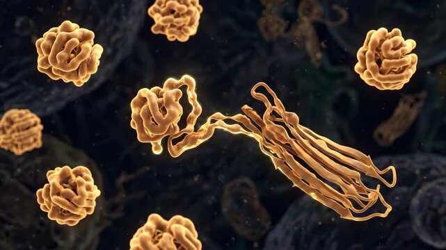 Protein Misfolding Amyloid Fibril Formation Alzheimer Neurodegeneration Scientific Animation