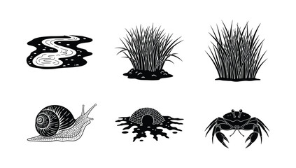 Wetland ecosystem icon set featuring river stream marsh grass snail and crab silhouettes for environmental and nature awareness projects © NorStock