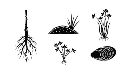 Botanical root systems and wetland plant life collection with soil mounds and aquatic vegetation for scientific and environmental graphic design © NorStock