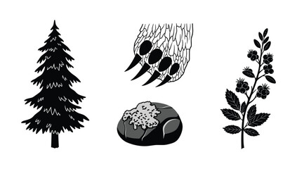 Forest nature collection featuring pine tree bear paw print mossy stone and berry branch for woodland and outdoor adventure branding design assets © NorStock
