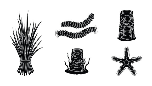 Black and white vector illustration set containing sea grass worms coral pillar and starfish for coastal and marine ecosystem graphic design assets