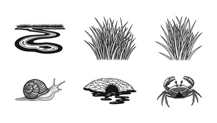 Nature elements illustration with river grass snail burrow and crab © NorStock