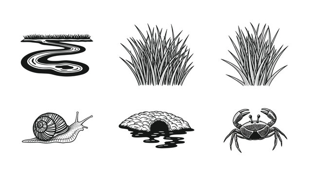 Nature elements illustration with river grass snail burrow and crab