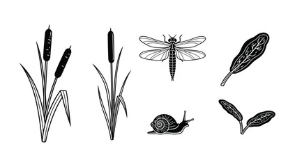 Marshland plants insect and aquatic elements vector icons cattails snail © NorStock