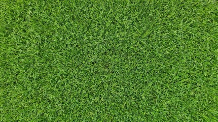 Obraz premium Vibrant green grass texture from an aerial perspective, showing a healthy and well-maintained lawn surface.
