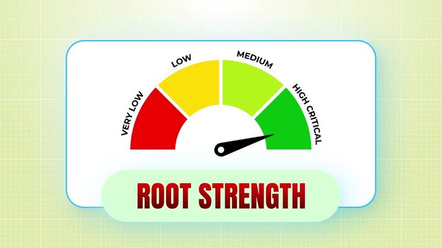 Root strength biological indicator on a smooth white stone-like base with bright clean lighting and green to red gauge colors 4k video