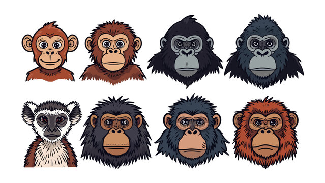 Primate Portraits: A collection of eight stylized illustrations featuring diverse primate faces, from playful monkeys to imposing gorillas and a curious lemur, each with unique expressions.