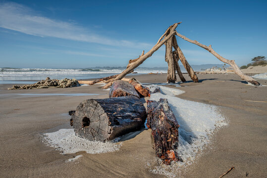 Treibholz am Sandstrand von Stinson Beach in Kalifornien
