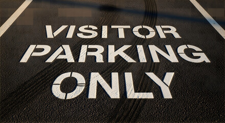 Fototapeta premium Visitor parking only sign painted on asphalt pavement top view