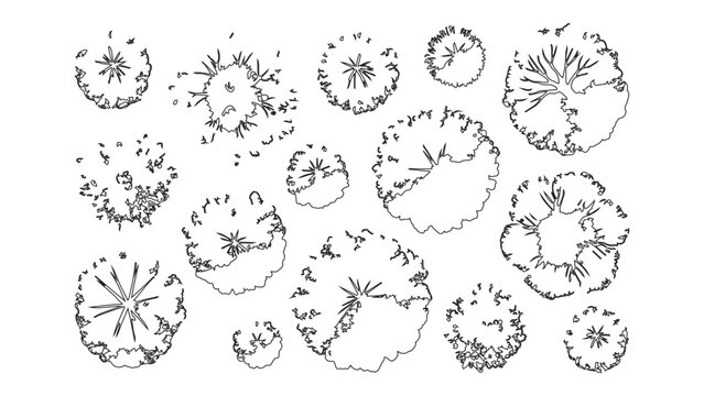 Radial spoke tree top view icons for modern landscape planning and architectural graphics.