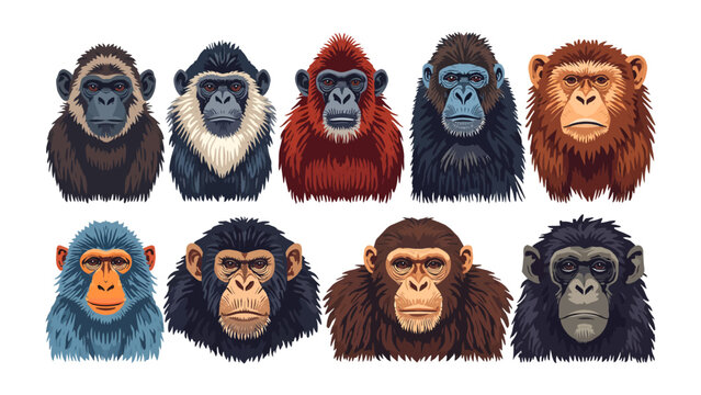 Collection of Primate Portraits: A diverse array of primate heads, showcasing varied species with distinct facial features and fur textures, presented in a cohesive collection.