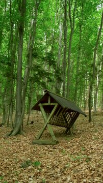 Traditional rustic hay feeder for wildlife in a forestry reserve.
