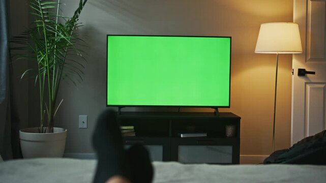A stylish living room features a smart LCD TV displaying a blank green screen. Ideal setup for relaxation, movie nights, and artistic projects, welcoming comfortable ambiance and creativity