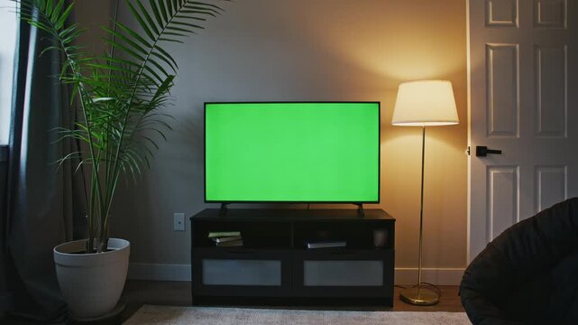 A sleek living room features a modern plasma TV displaying a blank green screen, perfect for creative projects. Soft lighting and plants enhance the cozy atmosphere, inviting imagination