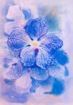 Painting watercolor vanda blue orchid genus vanda flower. Abstract paintings watercolor original flower imagination colorful of beauty orchid flowers on paper and emotion in blue background.