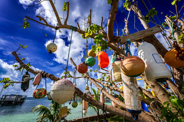 Colorful fishing buoys hanging from a seaside tree in Green Turtle Cay, Bahamas, with turquoise Caribbean waters and dramatic blue sky creating a vibrant tropical coastal scene. © Randy