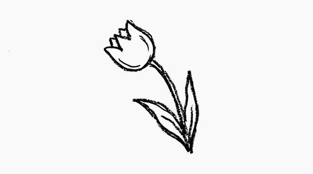 Simple Hand Drawn Tulip Flower Sketch.