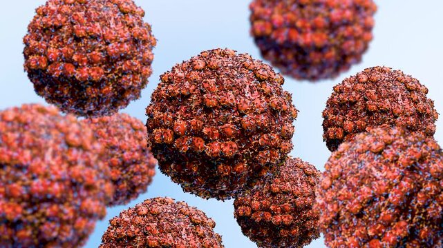 Hantavirus Pulmonary Syndrome, Anatomy and Morphology of Hantavirus Pathogens, 3d render