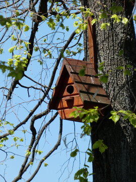 wooden birdhouse on a tree with fallen leaves. High quality photo