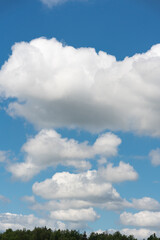 Obraz premium Vast blue sky dominates the frame. Puffy white clouds drift lazily overhead. Gentle forest line frames the bottom edge. Sunlight illuminates cloud edges with soft glow