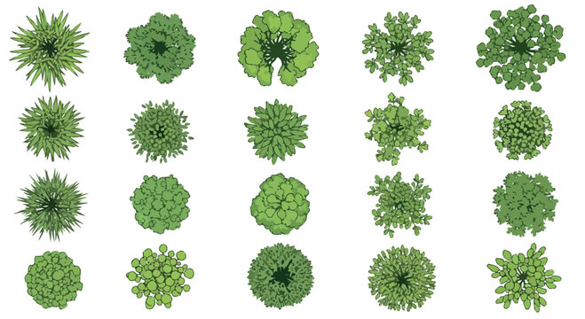 Top view tree symbols for landscape design, 20 green plant icons for architectural site plans, aerial garden vegetation vector set