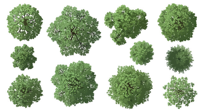 Watercolor architectural trees top view, set of 15 green plant symbols for site plan, landscape design elements for masterplan and garden mapping
