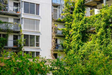 Fototapeta premium Building covered in green plants shows urban nature in city at daytime with sunlight shining on exterior walls