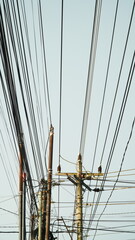 Obraz premium Messy Electrical and Telecommunication Cables on Utility Poles Against Clear Sky