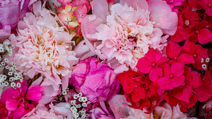 Fototapeta premium Colorful flowers spread across a surface during daylight in a garden setting