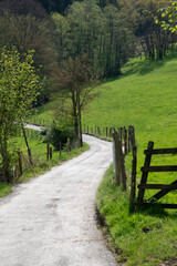 Fototapeta premium Curving Country Path Through Green Rural Landscape in Spring Light